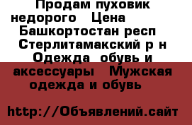Продам пуховик недорого › Цена ­ 1 500 - Башкортостан респ., Стерлитамакский р-н Одежда, обувь и аксессуары » Мужская одежда и обувь   